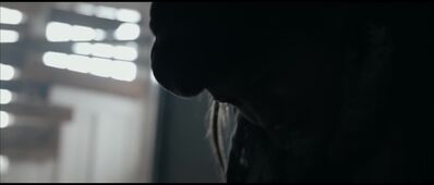 ZERO_2019_-_0306.jpg