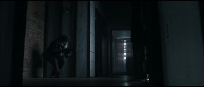 ZERO_2019_-_0626.jpg