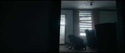 ZERO_2019_-_0825.jpg
