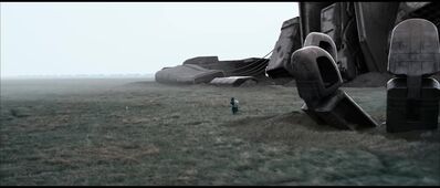 ZERO_2019_-_0970.jpg