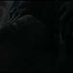 ZERO_2019_-_0288.jpg