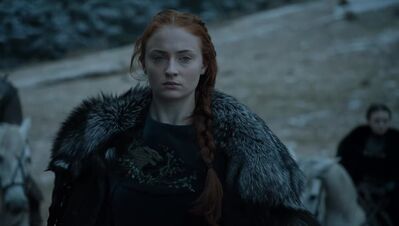 GAME_OF_THRONES_-_E6X09_THE_BATTLE_OF_THE_BASTARDS_077.jpg