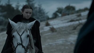 GAME_OF_THRONES_-_E6X09_THE_BATTLE_OF_THE_BASTARDS_169.jpg