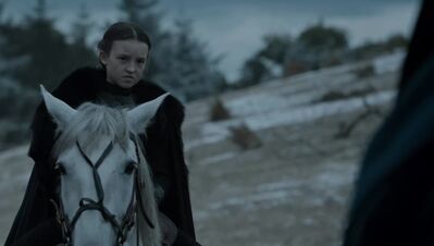 GAME_OF_THRONES_-_E6X09_THE_BATTLE_OF_THE_BASTARDS_172.jpg