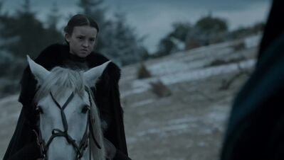 GAME_OF_THRONES_-_E6X09_THE_BATTLE_OF_THE_BASTARDS_175.jpg
