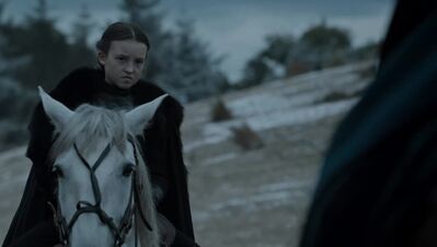 GAME_OF_THRONES_-_E6X09_THE_BATTLE_OF_THE_BASTARDS_183.jpg