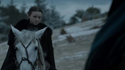 GAME_OF_THRONES_-_E6X09_THE_BATTLE_OF_THE_BASTARDS_184.jpg
