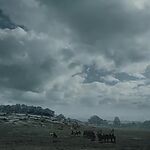 Filename=GAME_OF_THRONES_-_E6X09_THE_BATTLE_OF_THE_BASTARDS_365.jpg
Filesize=252KiB
Dimensions=1920x1088
Date added=Sep 22, 2023 GAME_OF_THRONES_-_E6X09_THE_BATTLE_OF_THE_BASTARDS_365.jpg
