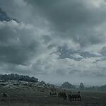 Filename=GAME_OF_THRONES_-_E6X09_THE_BATTLE_OF_THE_BASTARDS_384.jpg
Filesize=281KiB
Dimensions=1920x1088
Date added=Sep 22, 2023 GAME_OF_THRONES_-_E6X09_THE_BATTLE_OF_THE_BASTARDS_384.jpg