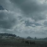 Filename=GAME_OF_THRONES_-_E6X09_THE_BATTLE_OF_THE_BASTARDS_405.jpg
Filesize=285KiB
Dimensions=1920x1088
Date added=Sep 22, 2023 GAME_OF_THRONES_-_E6X09_THE_BATTLE_OF_THE_BASTARDS_405.jpg