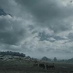 Filename=GAME_OF_THRONES_-_E6X09_THE_BATTLE_OF_THE_BASTARDS_406.jpg
Filesize=285KiB
Dimensions=1920x1088
Date added=Sep 22, 2023 GAME_OF_THRONES_-_E6X09_THE_BATTLE_OF_THE_BASTARDS_406.jpg