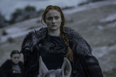GAME_OF_THRONES_-_E6X09_THE_BATTLE_OF_THE_BASTARDS_-_STILLS_001.jpg