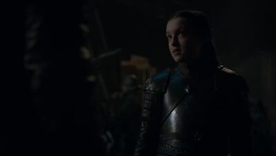 GAME_OF_THRONES_-_E8X02_A_KNIGHT_OF_THE_SEVEN_KINGDOMS_586.jpg