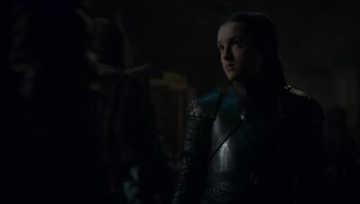 GAME_OF_THRONES_-_E8X02_A_KNIGHT_OF_THE_SEVEN_KINGDOMS_590.jpg
