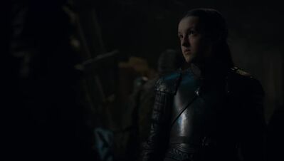 GAME_OF_THRONES_-_E8X02_A_KNIGHT_OF_THE_SEVEN_KINGDOMS_598.jpg