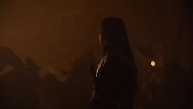 GAME_OF_THRONES_-_E8X03_THE_LONG_NIGHT_053.jpg