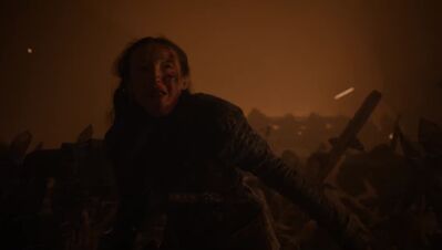 GAME_OF_THRONES_-_E8X03_THE_LONG_NIGHT_117.jpg