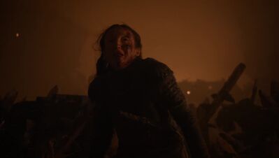 GAME_OF_THRONES_-_E8X03_THE_LONG_NIGHT_127.jpg