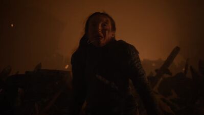 GAME_OF_THRONES_-_E8X03_THE_LONG_NIGHT_129.jpg