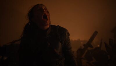 GAME_OF_THRONES_-_E8X03_THE_LONG_NIGHT_146.jpg
