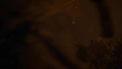 GAME_OF_THRONES_-_E8X03_THE_LONG_NIGHT_157.jpg