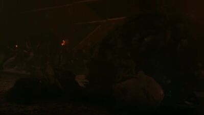 GAME_OF_THRONES_-_E8X03_THE_LONG_NIGHT_380.jpg