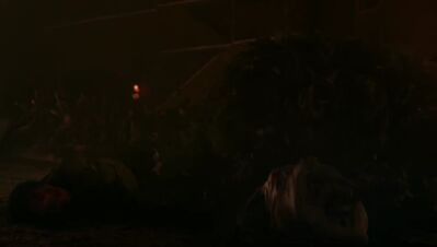 GAME_OF_THRONES_-_E8X03_THE_LONG_NIGHT_385.jpg