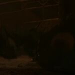 Filename=GAME_OF_THRONES_-_E8X03_THE_LONG_NIGHT_377.jpg
Filesize=116KiB
Dimensions=1920x1088
Date added=Sep 22, 2023 GAME_OF_THRONES_-_E8X03_THE_LONG_NIGHT_377.jpg