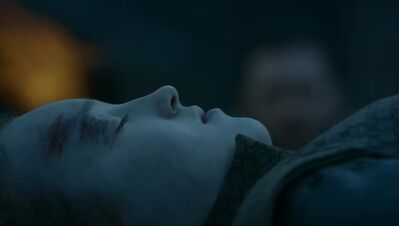GAME_OF_THRONES_-_E7X04_THE_LAST_OF_THE_STARKS_050.jpg
