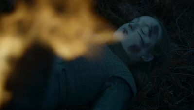 GAME_OF_THRONES_-_E7X04_THE_LAST_OF_THE_STARKS_114.jpg