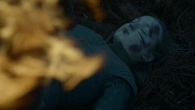 GAME_OF_THRONES_-_E7X04_THE_LAST_OF_THE_STARKS_122.jpg