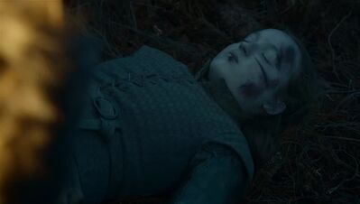 GAME_OF_THRONES_-_E7X04_THE_LAST_OF_THE_STARKS_185.jpg