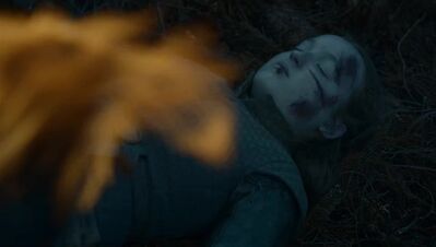GAME_OF_THRONES_-_E7X04_THE_LAST_OF_THE_STARKS_207.jpg