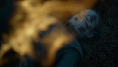 GAME_OF_THRONES_-_E7X04_THE_LAST_OF_THE_STARKS_218.jpg