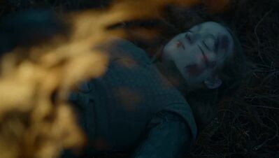GAME_OF_THRONES_-_E7X04_THE_LAST_OF_THE_STARKS_221.jpg
