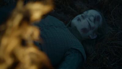 GAME_OF_THRONES_-_E7X04_THE_LAST_OF_THE_STARKS_223.jpg