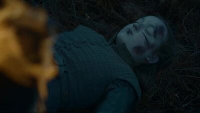 GAME_OF_THRONES_-_E7X04_THE_LAST_OF_THE_STARKS_230.jpg